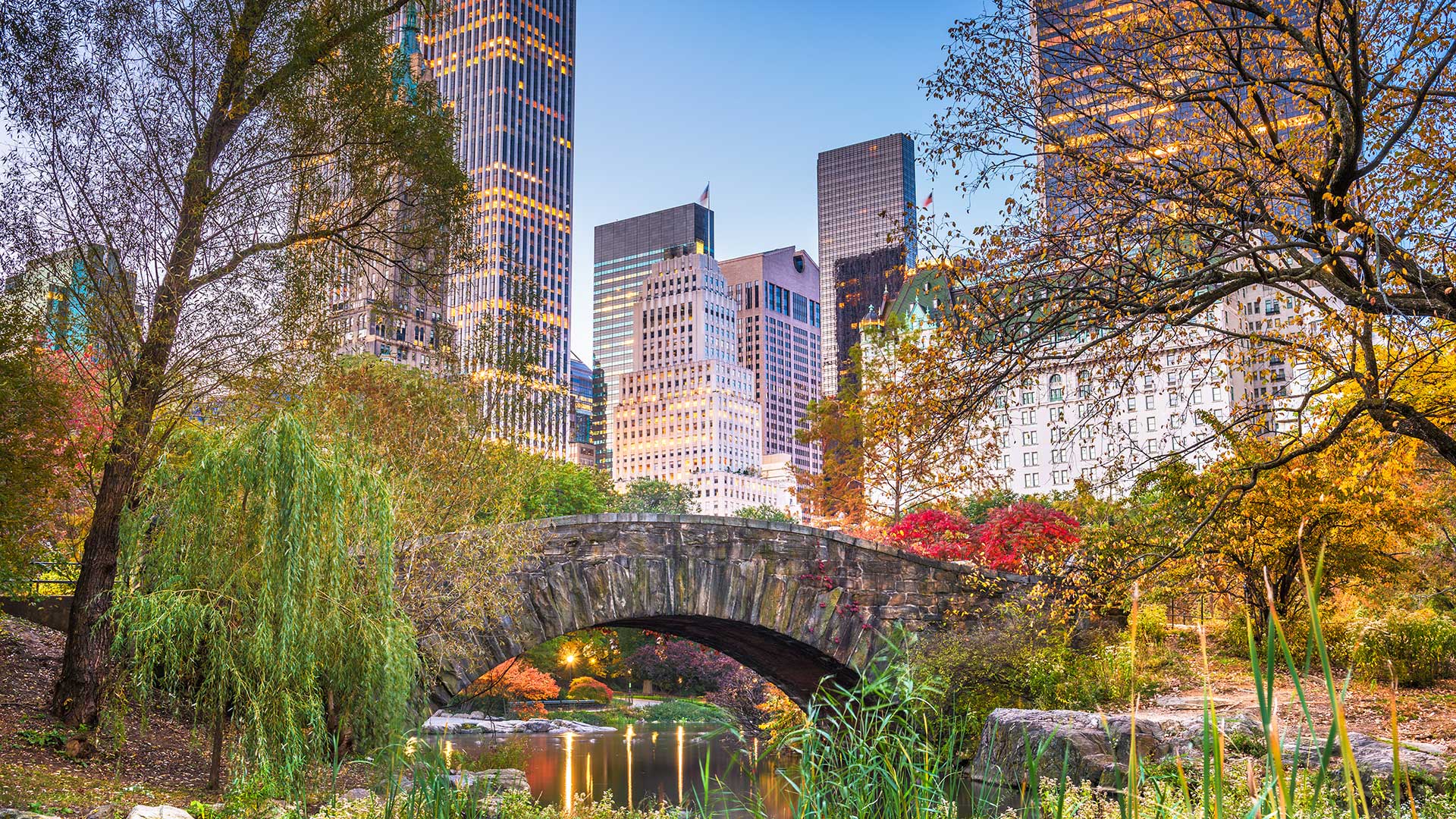 Panorama to illustrate dating in US