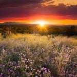 Panorama to illustrate dating in new mexico