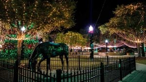 Panorama to illustrate dating in ocala