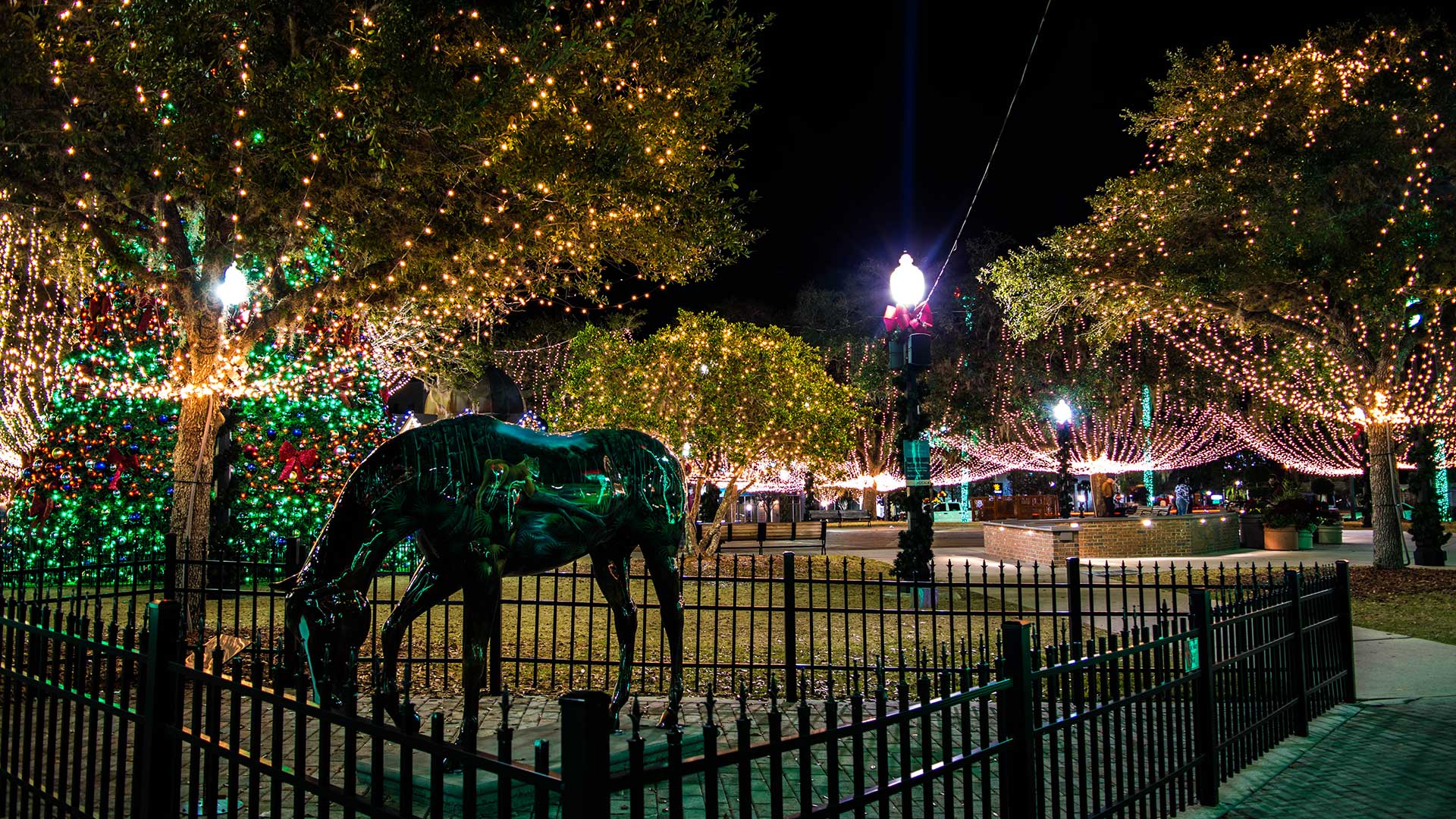 Panorama to illustrate dating in ocala