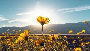 Panorama to illustrate dating in pahrump