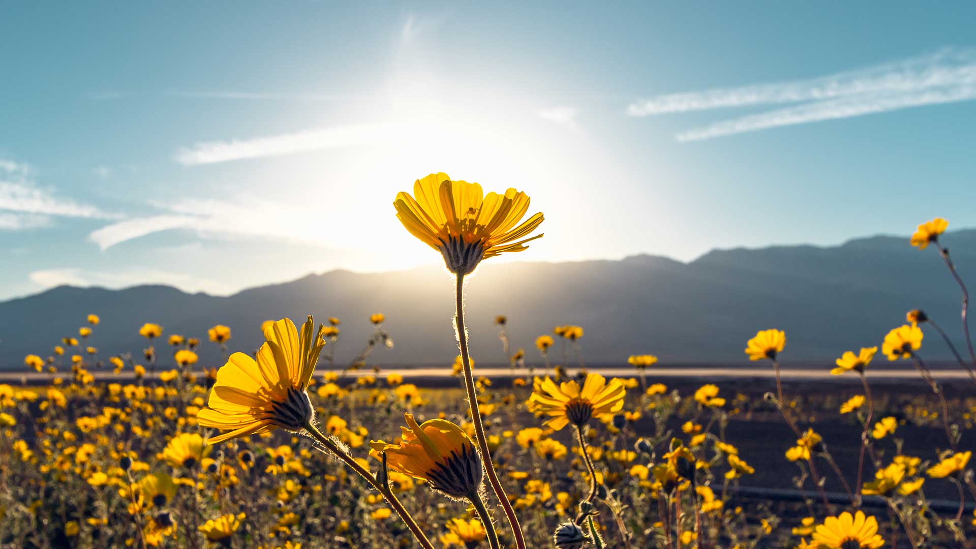 Panorama to illustrate dating in pahrump