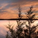 Panorama to illustrate dating in springfield