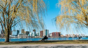 Couple sitting on a bench at the river looking at a city skyline.