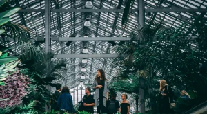 People visiting the conservatory in chicago